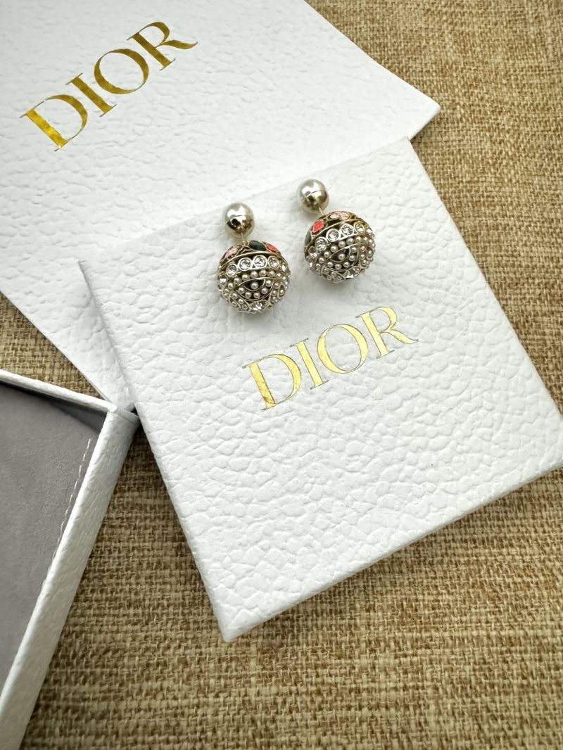 Christian Dior Earrings